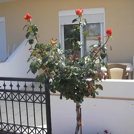 Apartmán Nephele